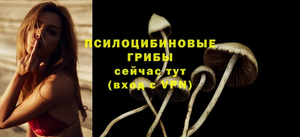 PSILOCYBIN Алексин